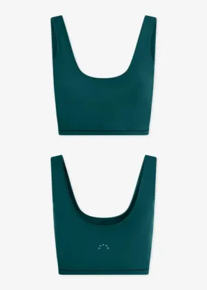 SHAPE DAYTON BRA | CONIFER